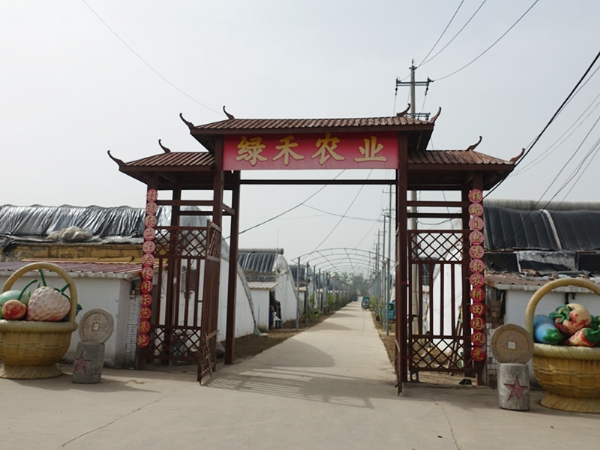 大红鹰dhy農(nong) 業(ye) 