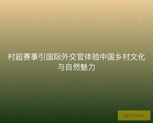 村超赛事引国际外交官体验中国乡村文化与自然魅力