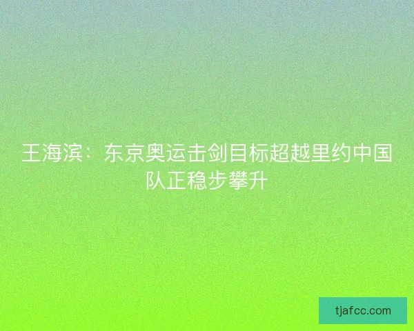 王海滨：东京奥运击剑目标超越里约中国队正稳步攀升