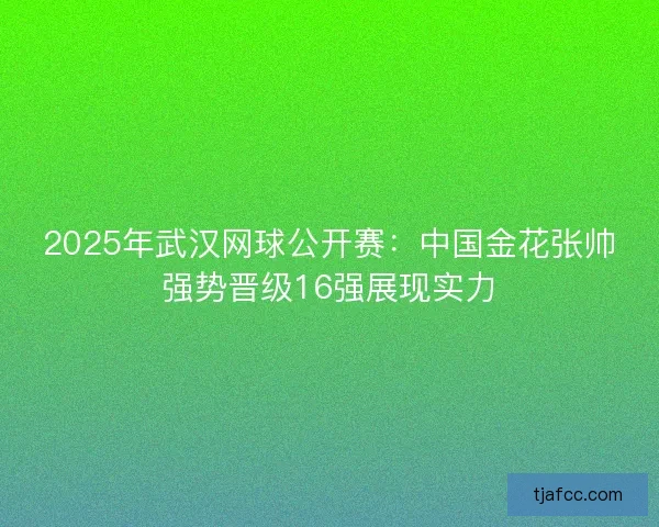 2025年武汉网球公开赛：中国金花张帅强势晋级16强展现实力